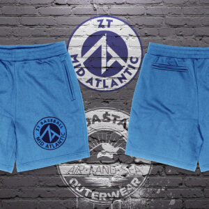ZT Baseball Performance Shorts- Sky Blue
